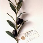 Herbarium of Artificial Plants