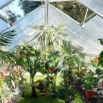 Greenhouse, 2007