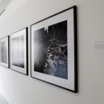 serie Zapallal/Yurinaki