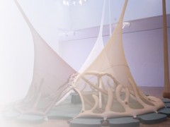 June 17 – September 2, 2012
Museum of Latin American Art, Long Beach, California
Co-curated by Cecilia Fajardo-Hill, Idurre Alonso and Selene Preciado
Play with Me explores the interactive potential of  contemporary art within installation art. The exhibition seeks to dispel  notions of distance...