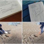 Isla Negra’s Treasure