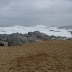 Isla Negra’s Treasure