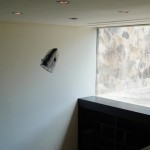 Jules Verne's Wallpaintings