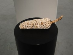 Harvest, 2011