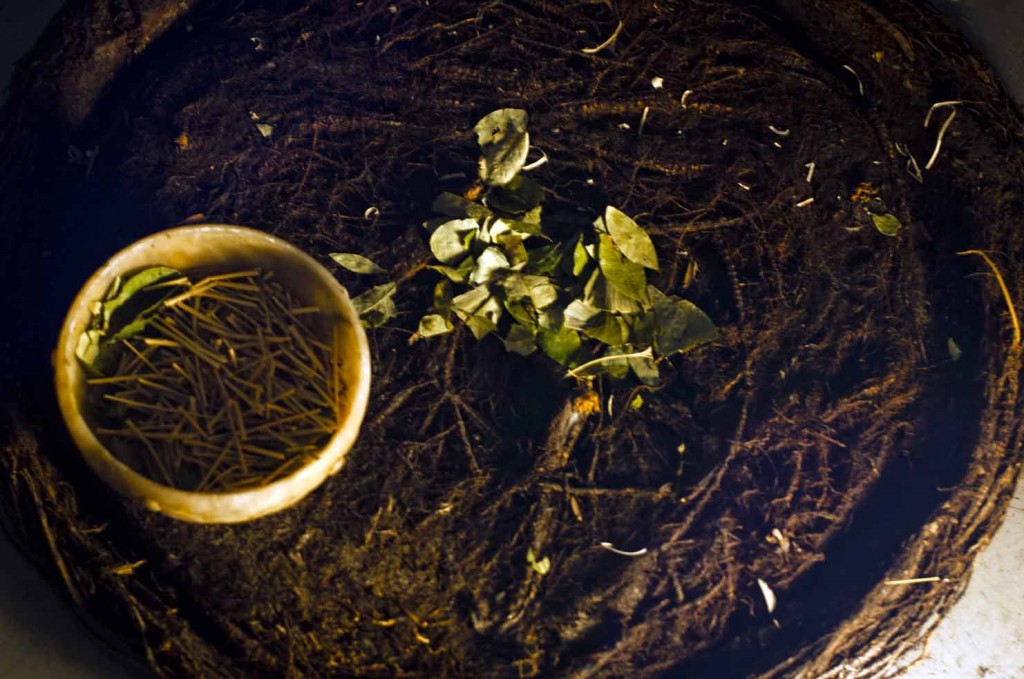 Caracol