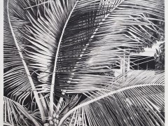 Sans titre (palmier). Detail