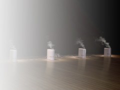 10 december – 15 march, 2012
Prince Claus Fund Gallery, Amsterdam
‘Carnal’  is a poignant homage to the victims of drug- and  gender-related  violence.  In ‘Carnal’, 2012 Prince Claus Laureate  Teresa Margolles  exhibits artworks that combine the formal strategies  of post...