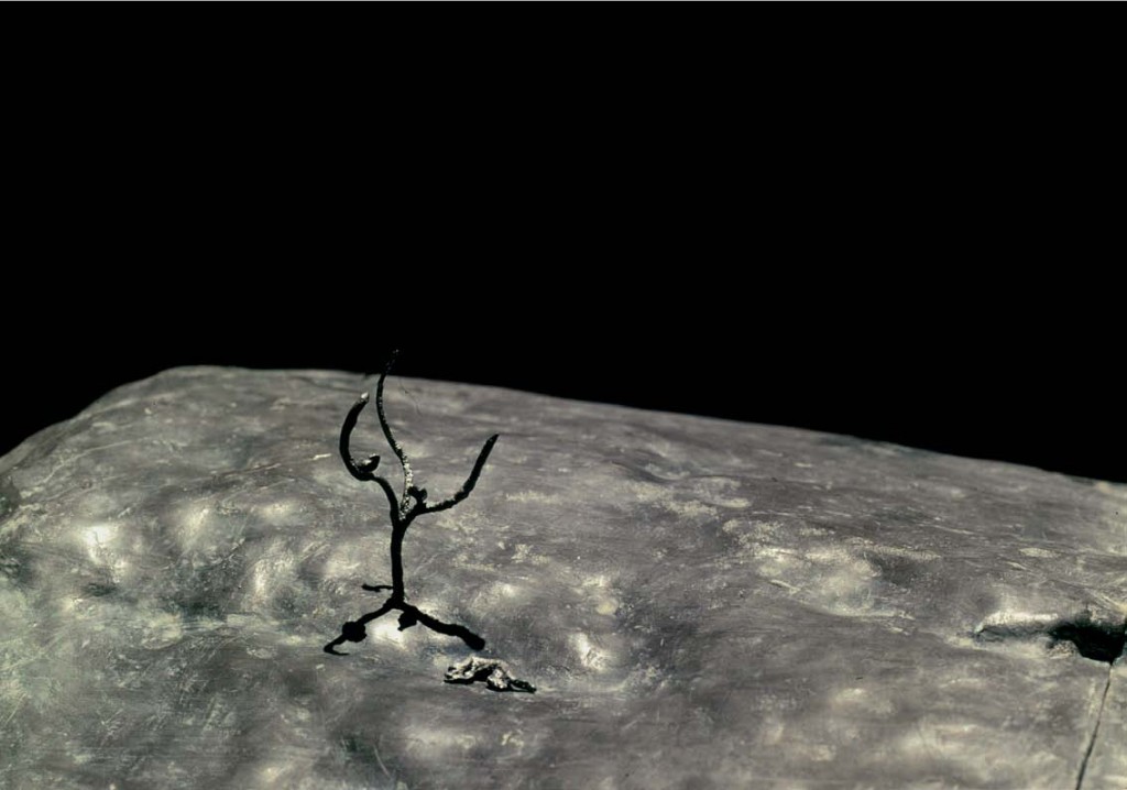 Terra Incognita