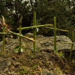 Campo Santo