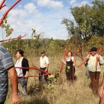 Centro Rural de Arte