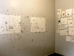 Untitled - Installation of 52 drawings on wall.