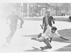 GAMeC – Galleria d'Arte Moderna e Contemporanea of Bergamo
March 8th - May 26th
Curated by Paulo Herkenhoff and Rodrigo Alonso, the exhibition  presents and analyses the artistic production of Brazil and Argentina  during the Sixties, highlighting the artists’ creativity and  originality, as