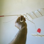Serie Vuelos De Interior