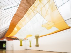 Ernesto Neto