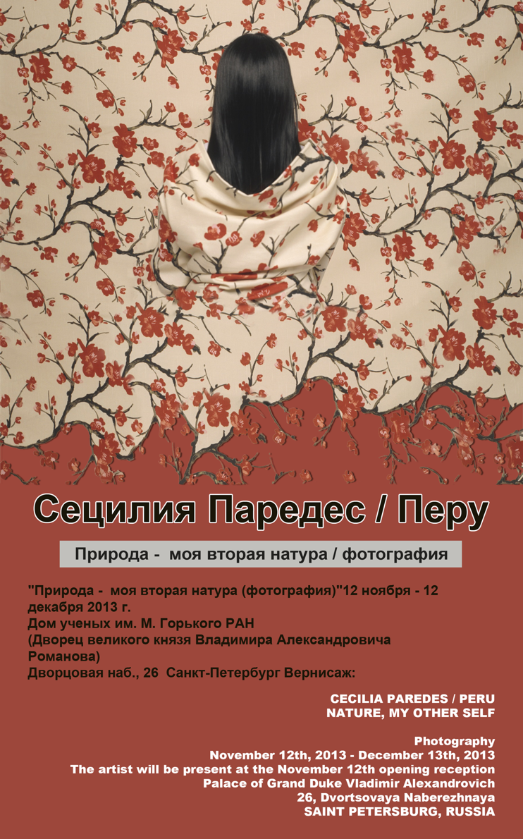 afiche rusia 2013