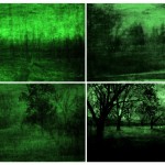 Serie : La Mirada ausente
