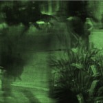 Serie : Ritmos primarios