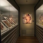 Exhibition View