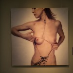 Exhibition View