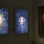 Exhibition View