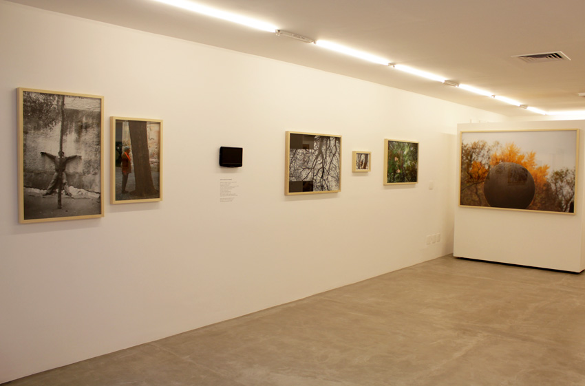 View from the exhibition Tiempo de Árbol 2
