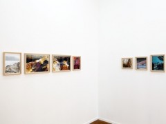 Exhibition View