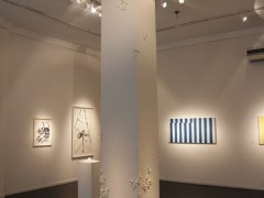 Instalación-hongo, sin título, Galería Vasari, 2013