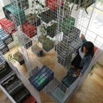 Biblioteca de Arte Ambulante