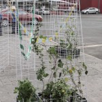 Estacion movil para hamacas