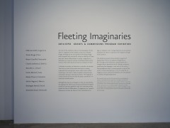 Installation view of Fleeting Imaginaries at CIFO, 2014.