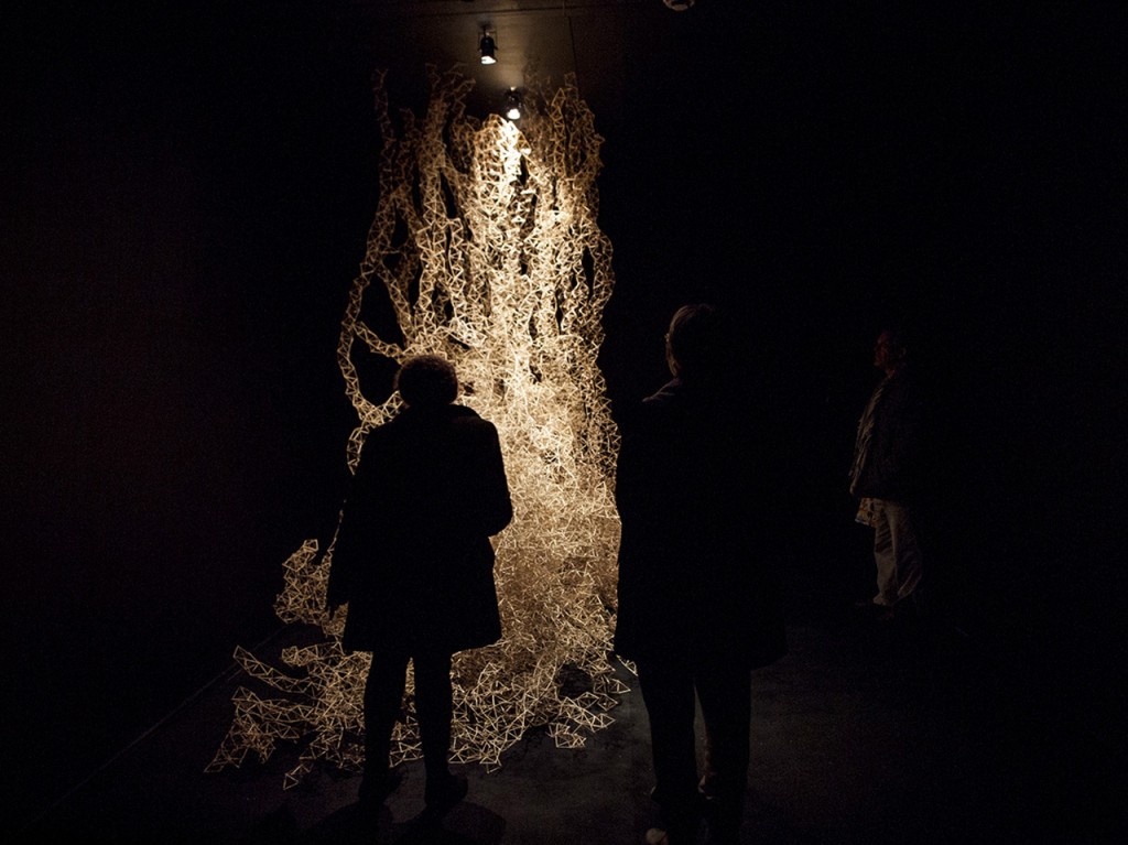 Espacio de Arte Contemporáneo, Julia Castagno, Modelo para la Supervivencia, 2014.