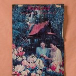 Luck Thai 199 (Detalle). Mapocho.