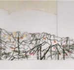 Nativas foráneas, 2010