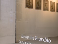 Alexandre Brandão
Experimentos com o acaso