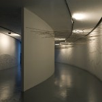 359˚