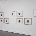 The Anatomy  of the Landscape;
Talking Seeds, series