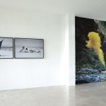 Autoportraits ; Ya tranquilizado del todo observe la caverna con suma atención