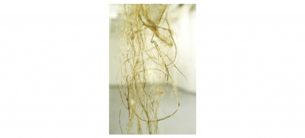 Quipu Semiyo