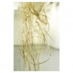 Quipu Semiyo