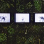 Âme révolutionnaire