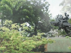 Bolivar war met en perspective la figure historique de Bolívar avec le contexte des jeux vidéo. Avec une tristesse émouvante, elle crée une réflexion sur la récidive de l’illusion et la construction sociale des mythes historiques  issus des guerres. Elle réunit deux réalités apparemment contradictoires, mais ayant beaucoup d’artifice en commun.