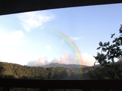 Dans Iris, la mère de l’artiste dessine avec de l’eau un arc-en-ciel sur l’horizon de la forêt d’El Yunque à Puerto Rico. Elle est vêtue d’un T-shirt portant les noms des trois derniers prisonniers politiques de l’île et les sentences auxquelles ils furent condamnés. L’année dernière, le dernier des prisonniers, Oscar López Rivera, a été libéré après 36 ans d’emprisonnement. La fabrication de l’arc-en-ciel est un geste éphémère d’espoir.