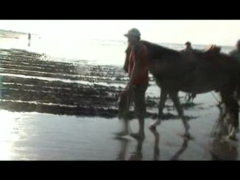 Il s’agit d’une performance présentée sous la forme d’une vidéo. Deux hommes et un cheval labourent le bord de mer tandis que leur travail est effacé inlassablement par l’environnement. Loop, le nom de cette pièce fait référence aux projections de l’art vidéo et à la vie elle-même: répétition constante, c’est une sorte de Sisyphe sans métaphore. L’humain, que dire de plus.