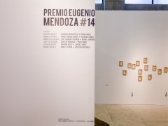 Premio Eugenio Mendoza #4