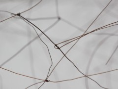 364 pelos / 462 perforaciones / 1,178 nudos, 2010