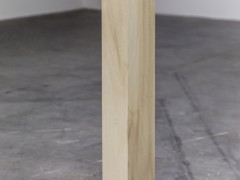 Trayectorias sofocadas, 2014