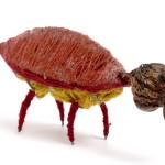 Insectario - Bestiario
