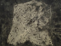 Down. From the series Landscape as an entity, 2005