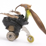 Insectario - Bestiario