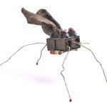 Insectario - Bestiario